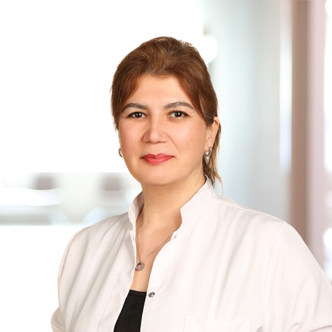 Didem Trabulus