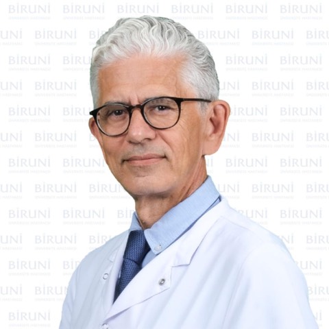 Hilmi APAK