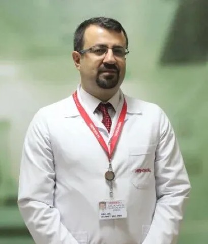 Mehmet Şah İpek