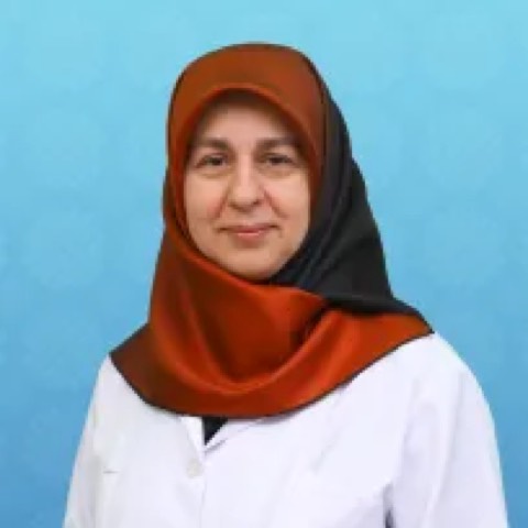 Mürvet Hakyemez
